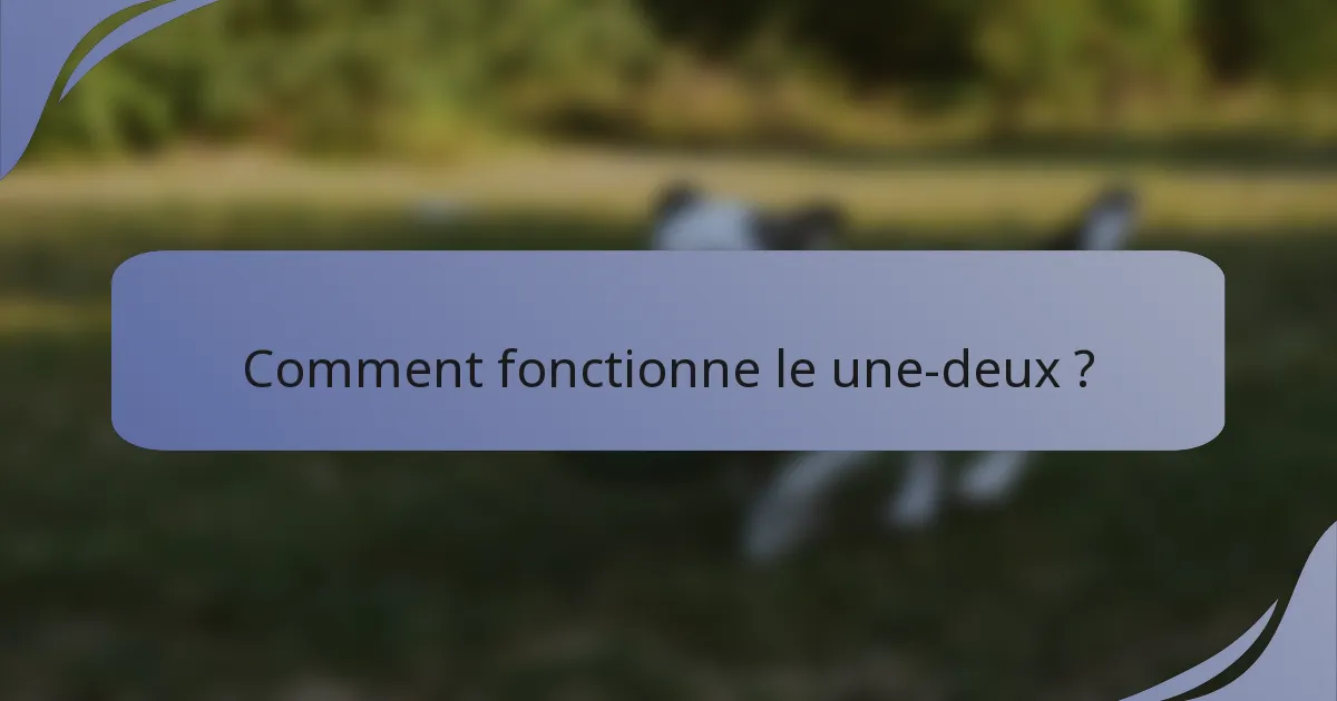 Comment fonctionne le une-deux ?