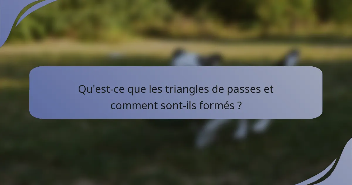 Qu'est-ce que les triangles de passes et comment sont-ils formés ?